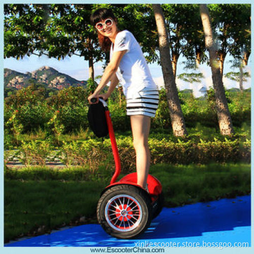 Lightweight Electric Kick Scooter